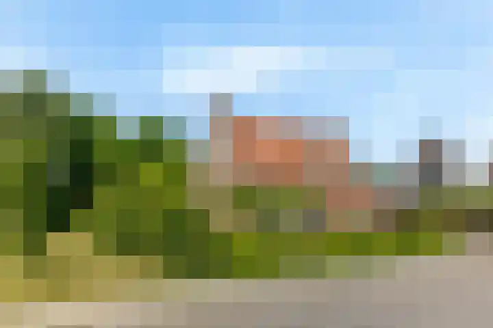 Veldleeuwerik 1 Tubbergen thumbnail 7