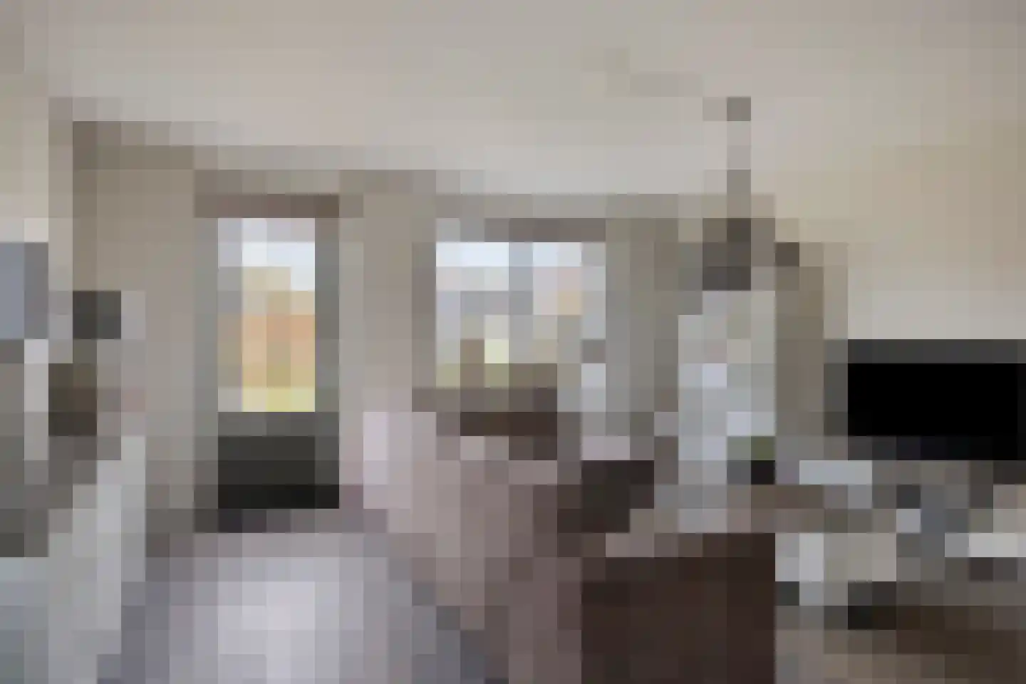 Veldleeuwerik 10 Bruchem thumbnail 10