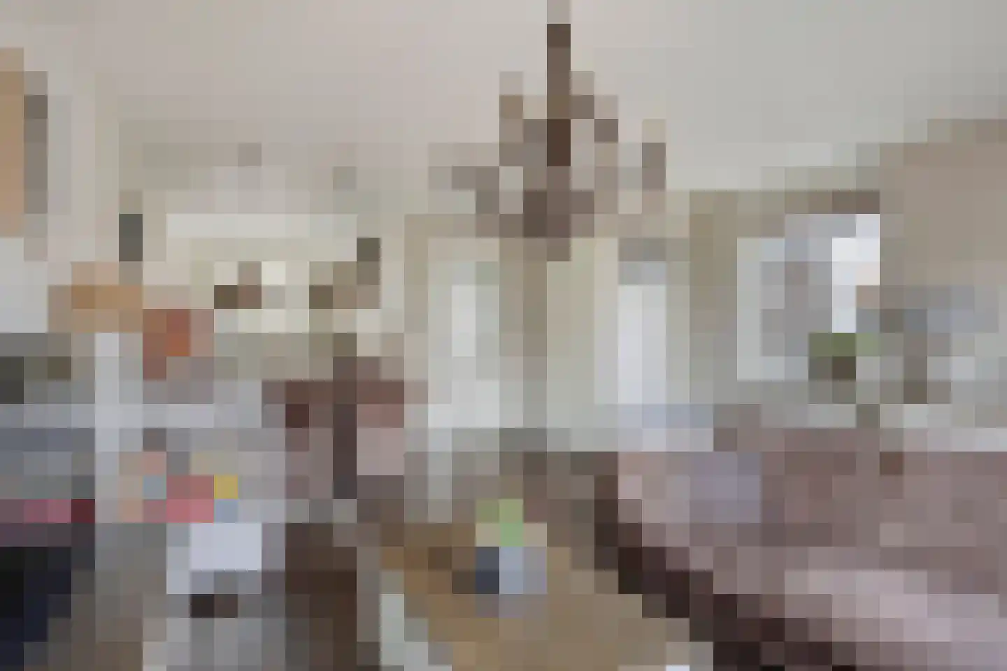 Veldleeuwerik 10 Bruchem thumbnail 11