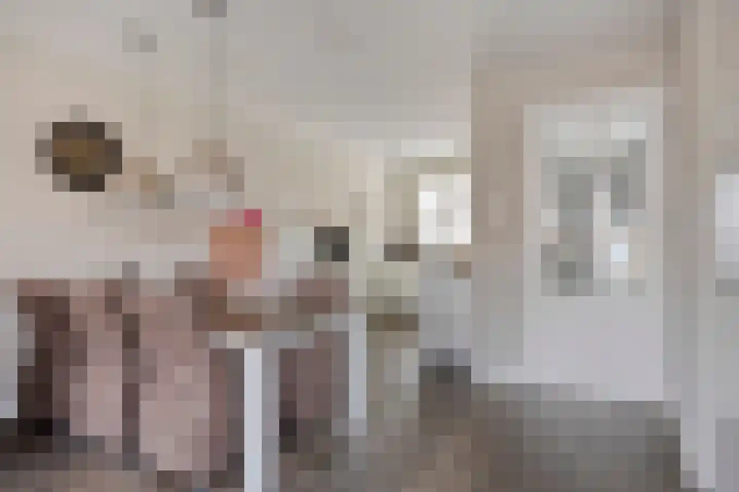 Veldleeuwerik 10 Bruchem thumbnail 12