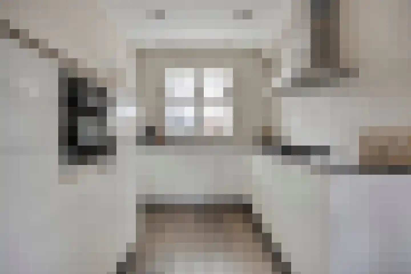 Veldleeuwerik 10 Bruchem thumbnail 14