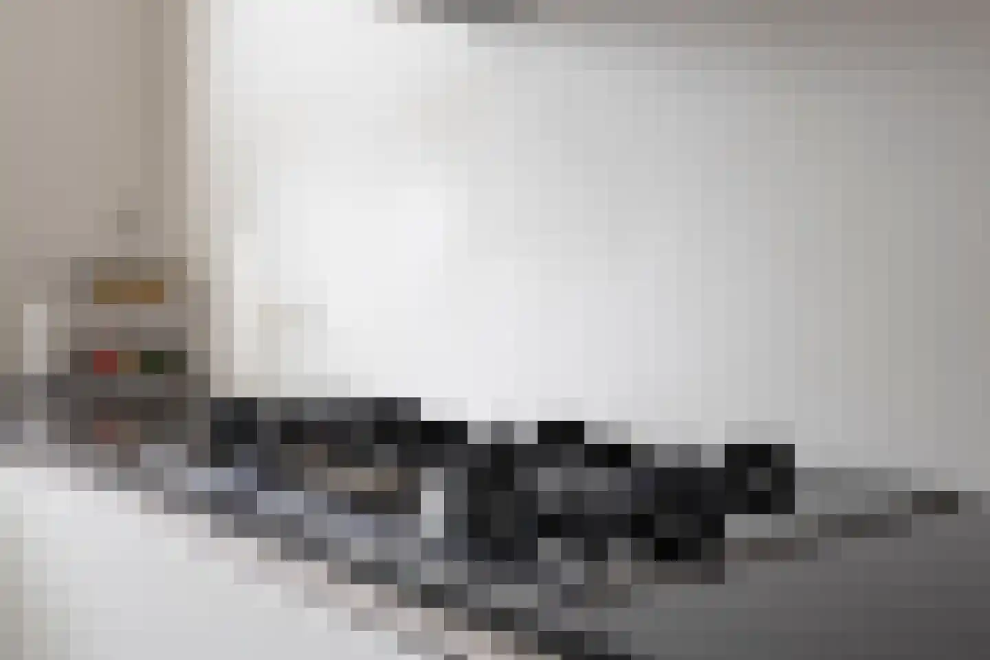 Veldleeuwerik 10 Bruchem thumbnail 15