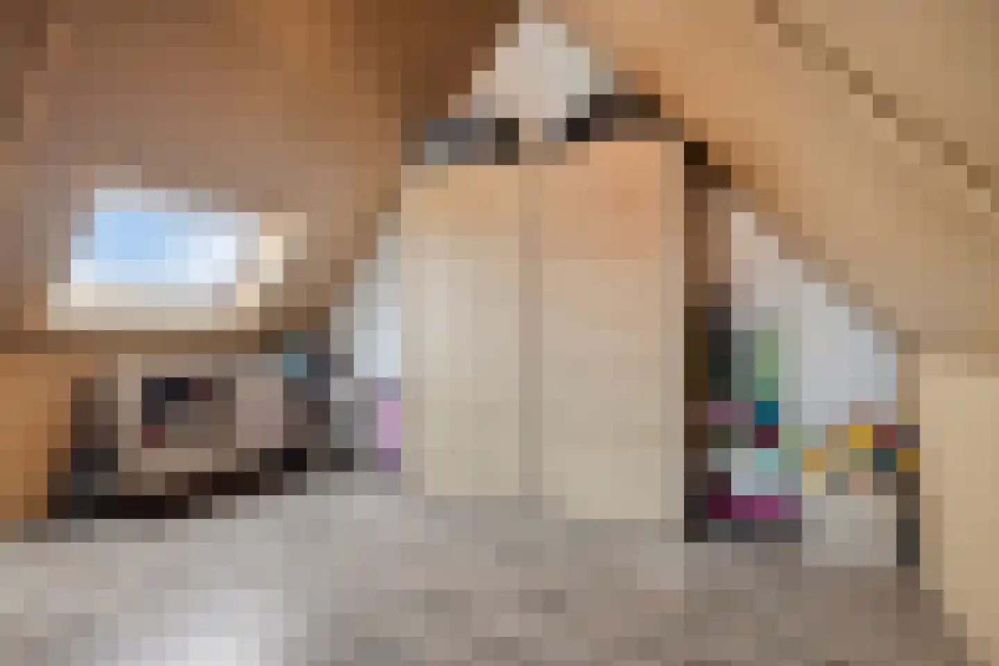 Veldleeuwerik 10 Bruchem thumbnail 26