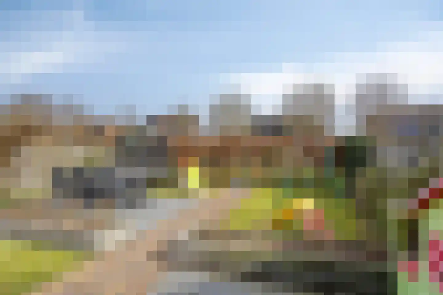 Veldleeuwerik 10 Bruchem thumbnail 27