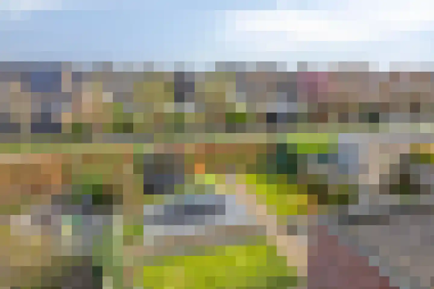 Veldleeuwerik 10 Bruchem thumbnail 28