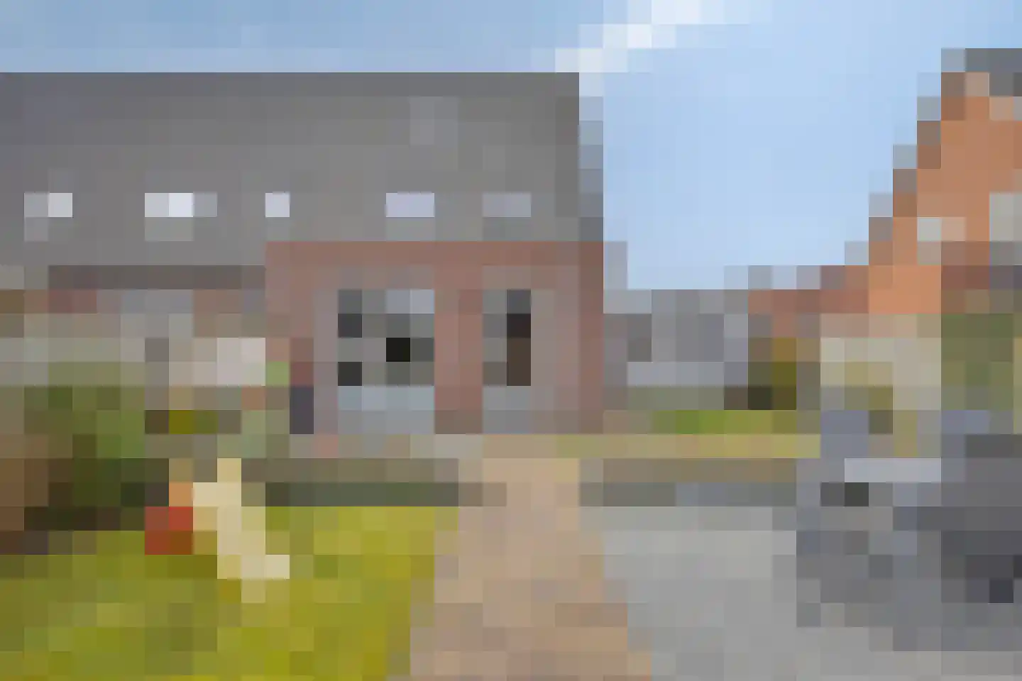 Veldleeuwerik 10 Bruchem thumbnail 29