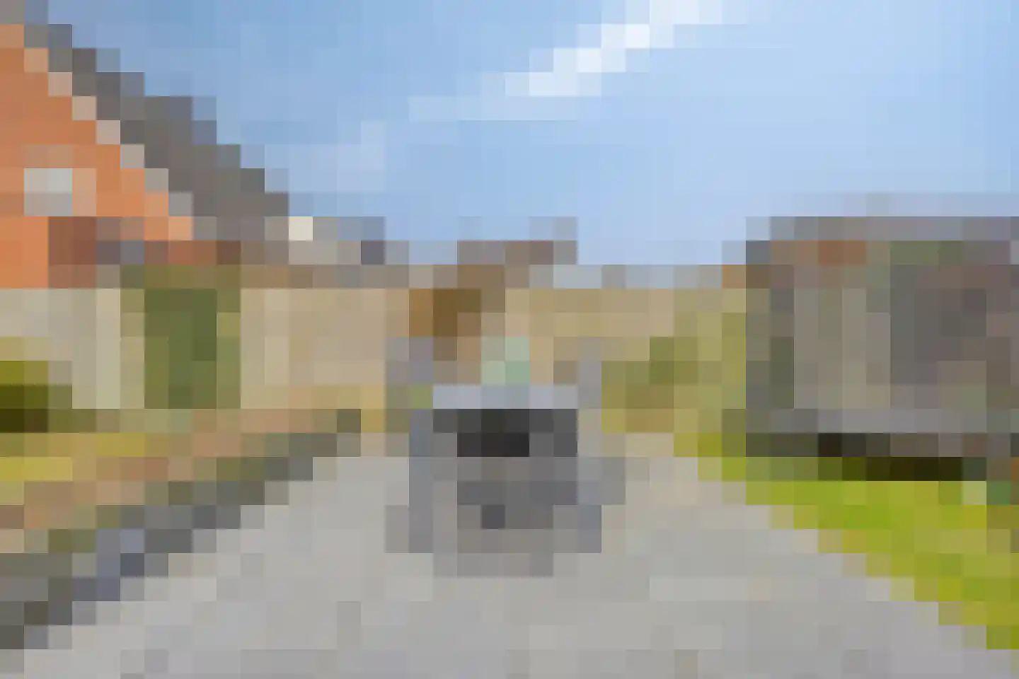 Veldleeuwerik 10 Bruchem thumbnail 31