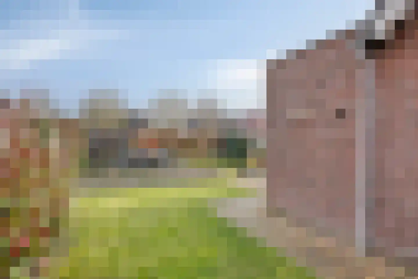 Veldleeuwerik 10 Bruchem thumbnail 32
