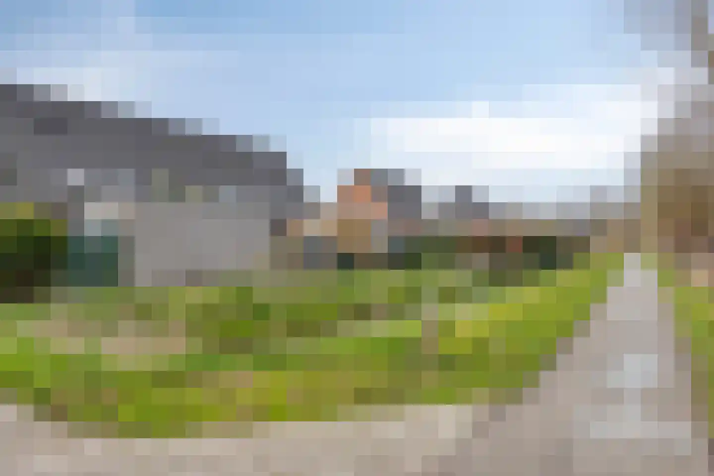 Veldleeuwerik 10 Bruchem thumbnail 33