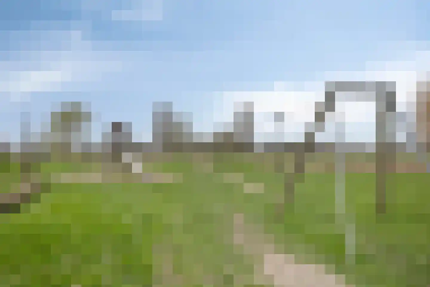 Veldleeuwerik 10 Bruchem thumbnail 34