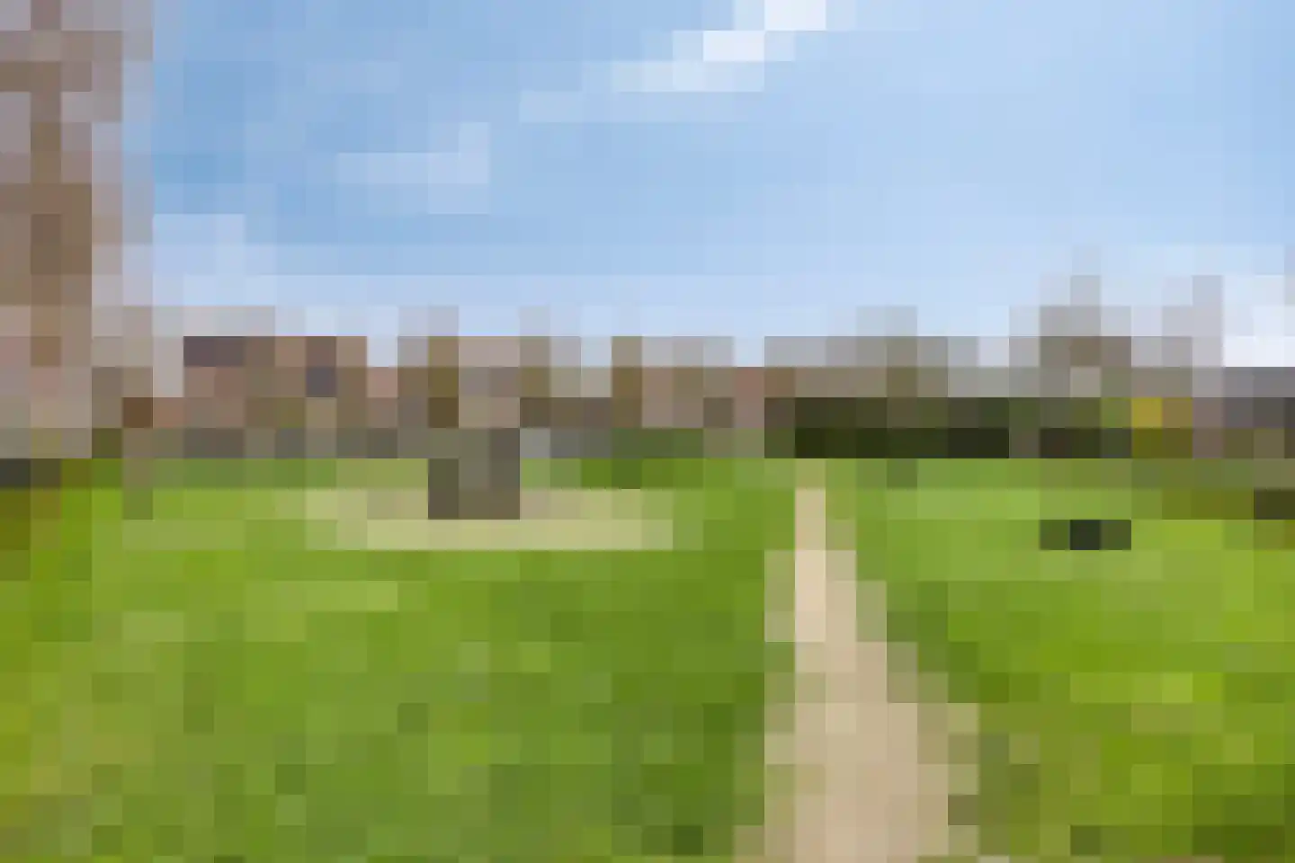Veldleeuwerik 10 Bruchem thumbnail 35