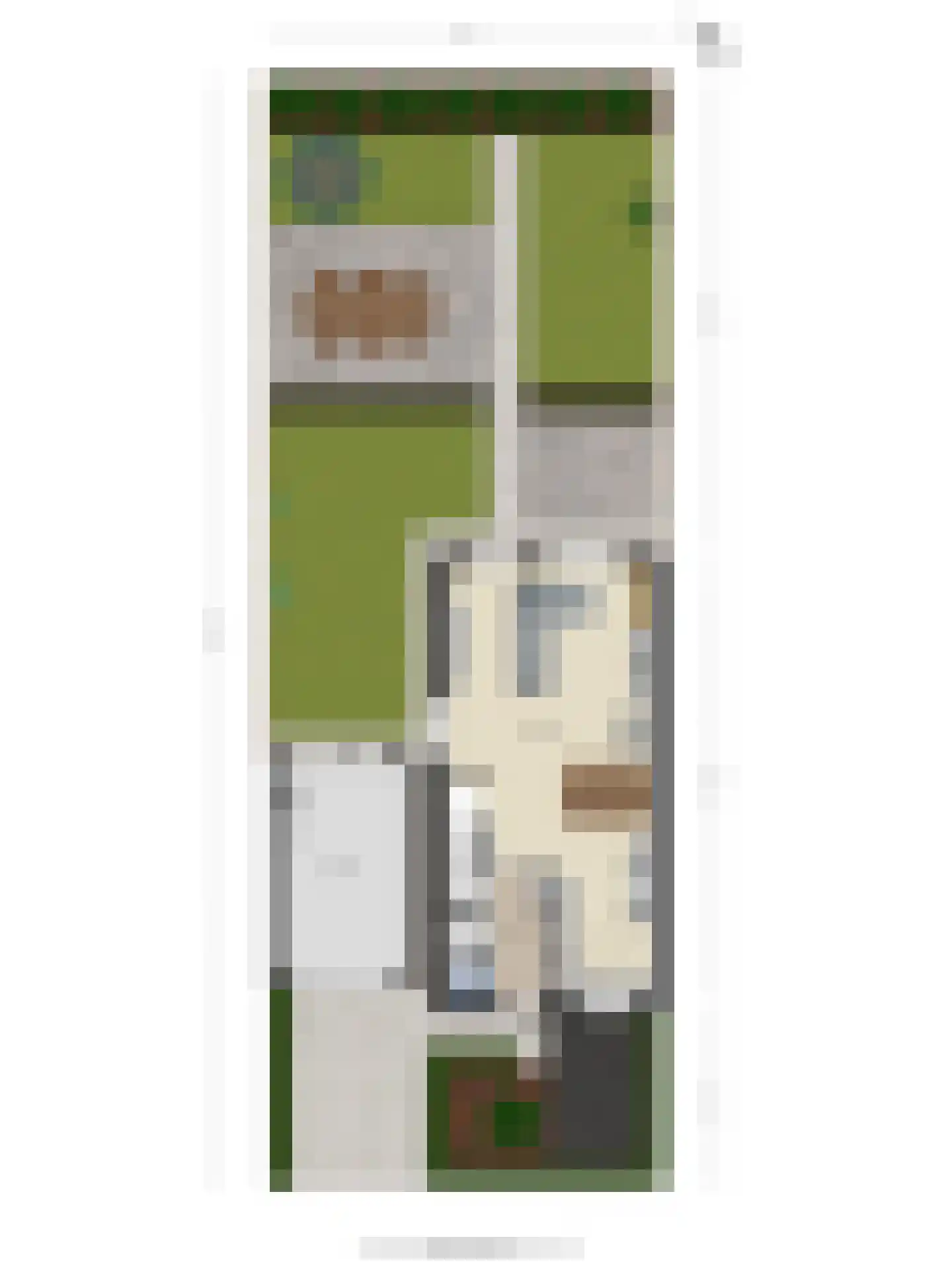 Veldleeuwerik 10 Bruchem thumbnail 37