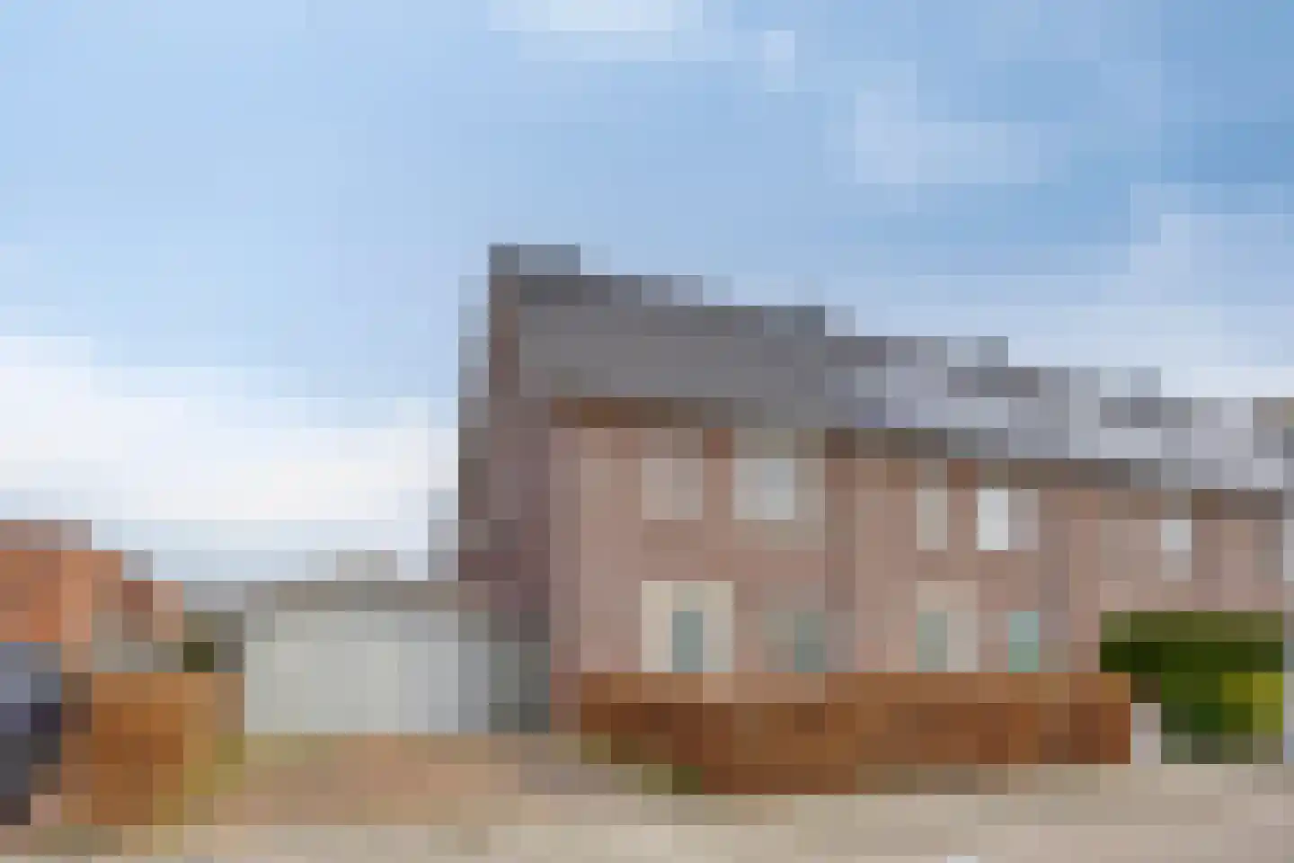 Veldleeuwerik 10 Bruchem thumbnail 4