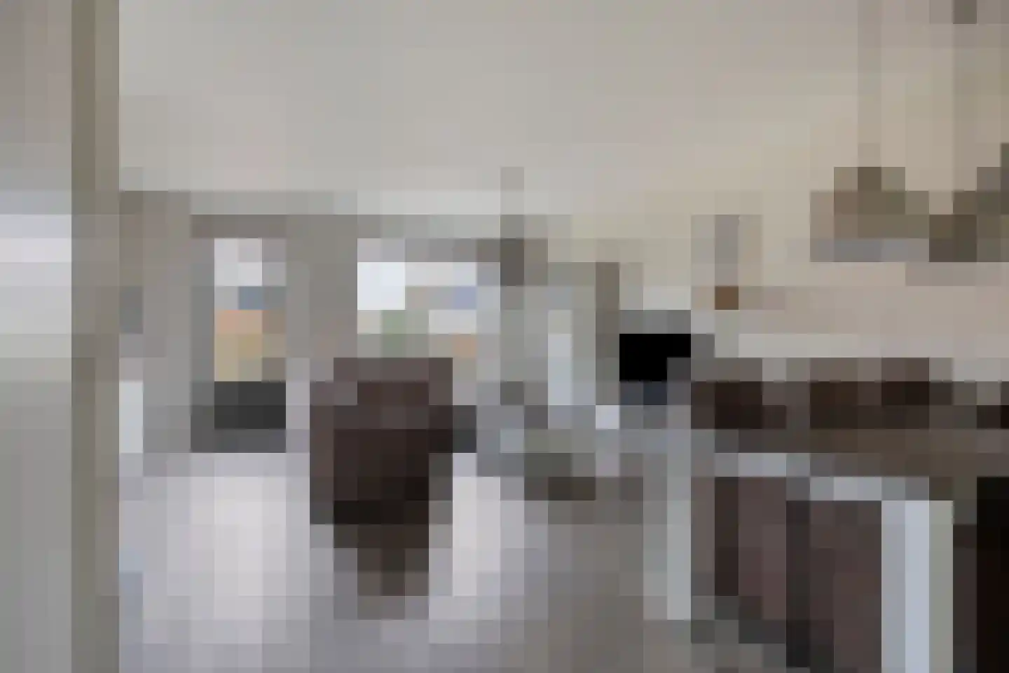 Veldleeuwerik 10 Bruchem thumbnail 8
