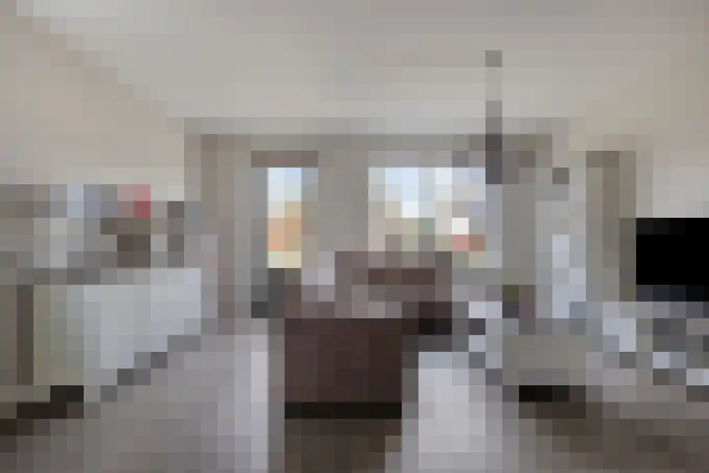 Veldleeuwerik 10 Bruchem thumbnail 9