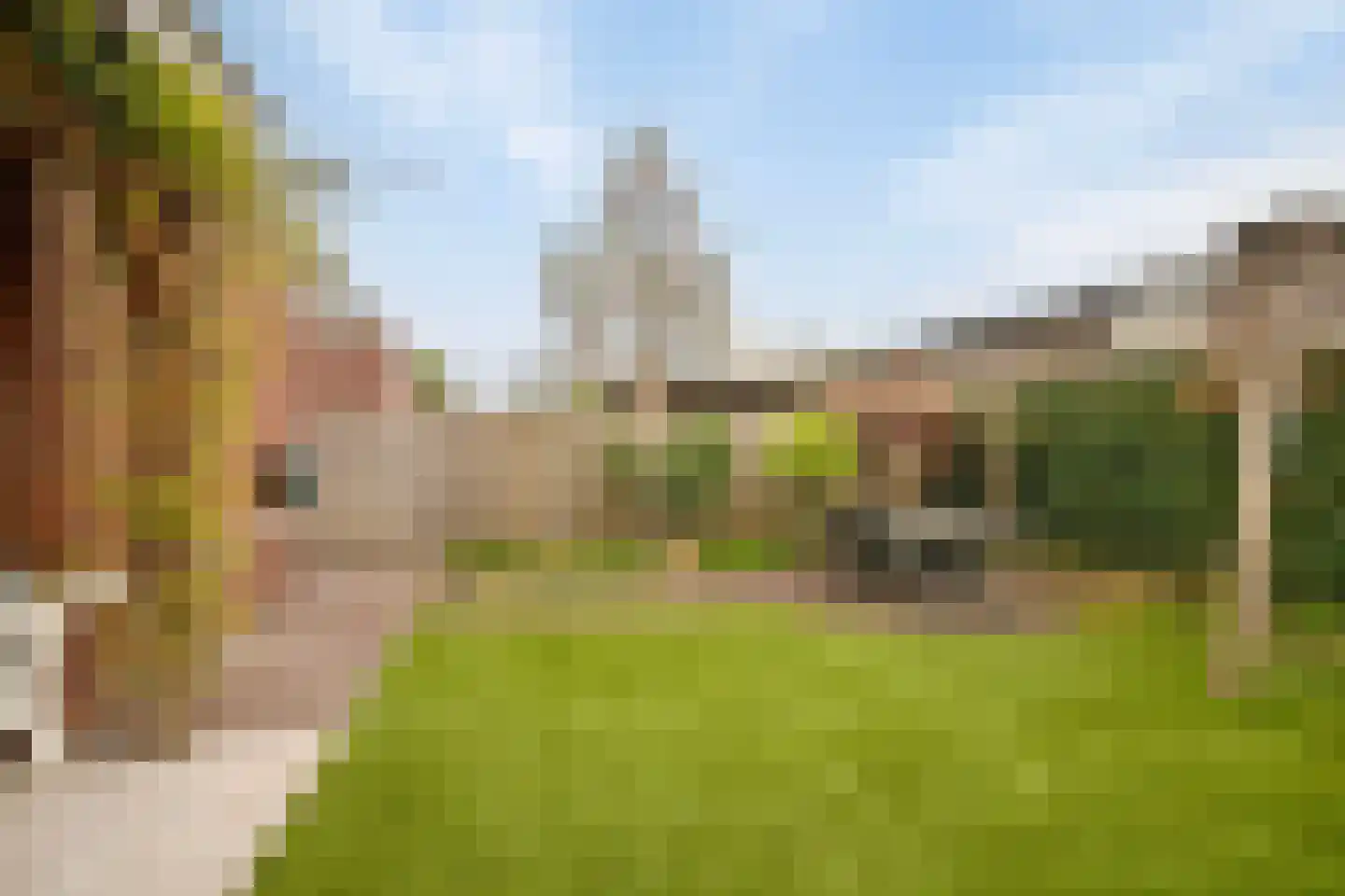Veldleeuwerik 10 Maren-Kessel thumbnail 34