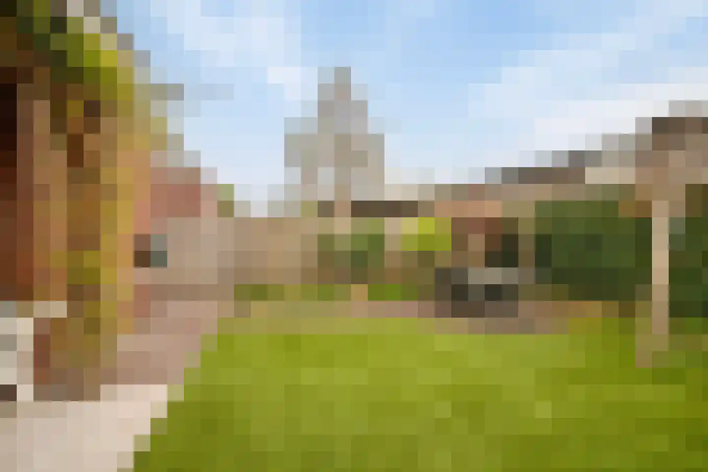 Veldleeuwerik 10 Maren-Kessel thumbnail 34