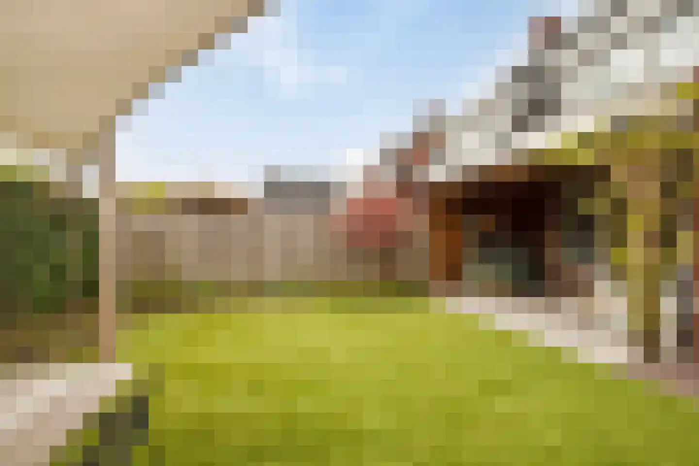 Veldleeuwerik 10 Maren-Kessel thumbnail 35