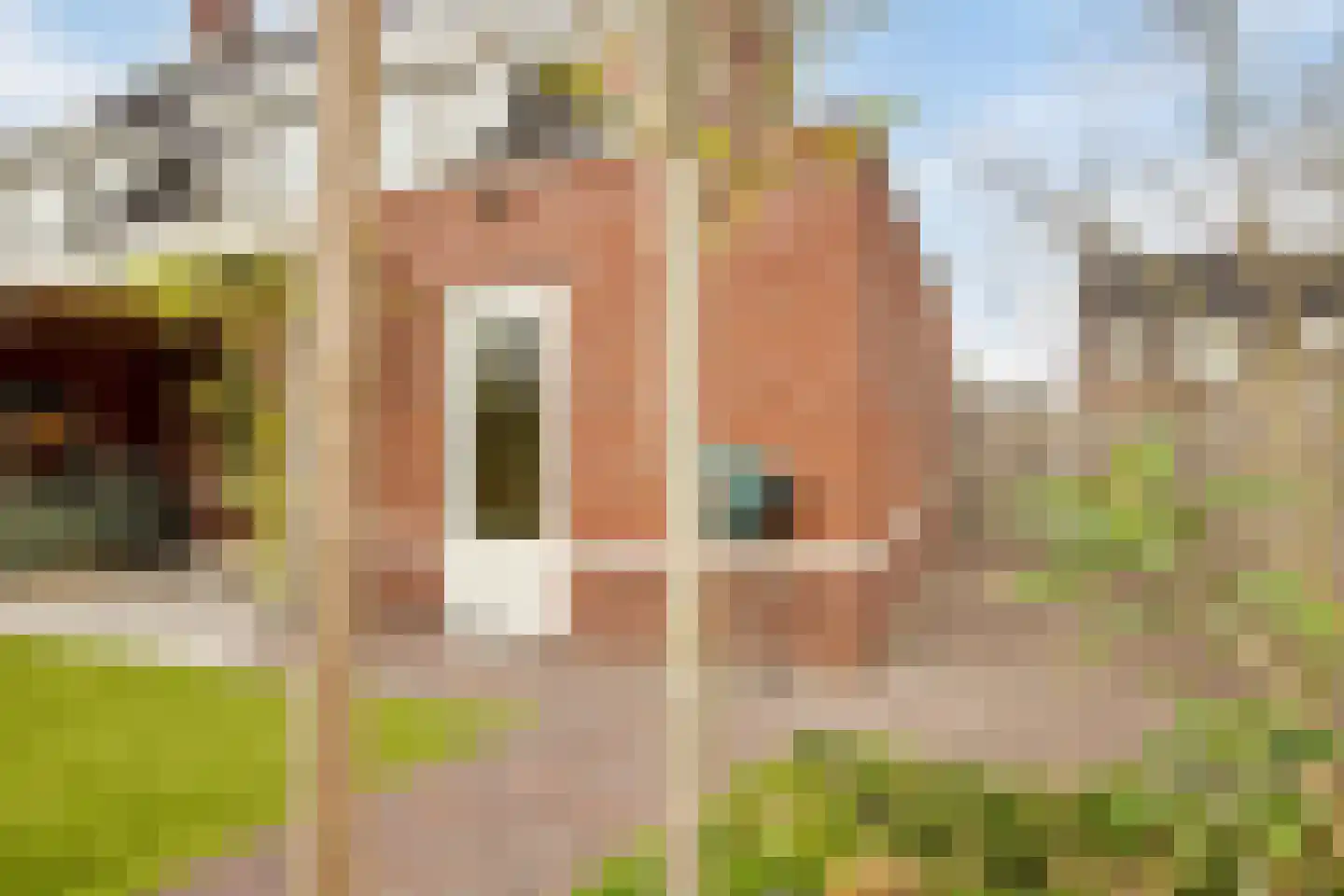 Veldleeuwerik 10 Maren-Kessel thumbnail 36