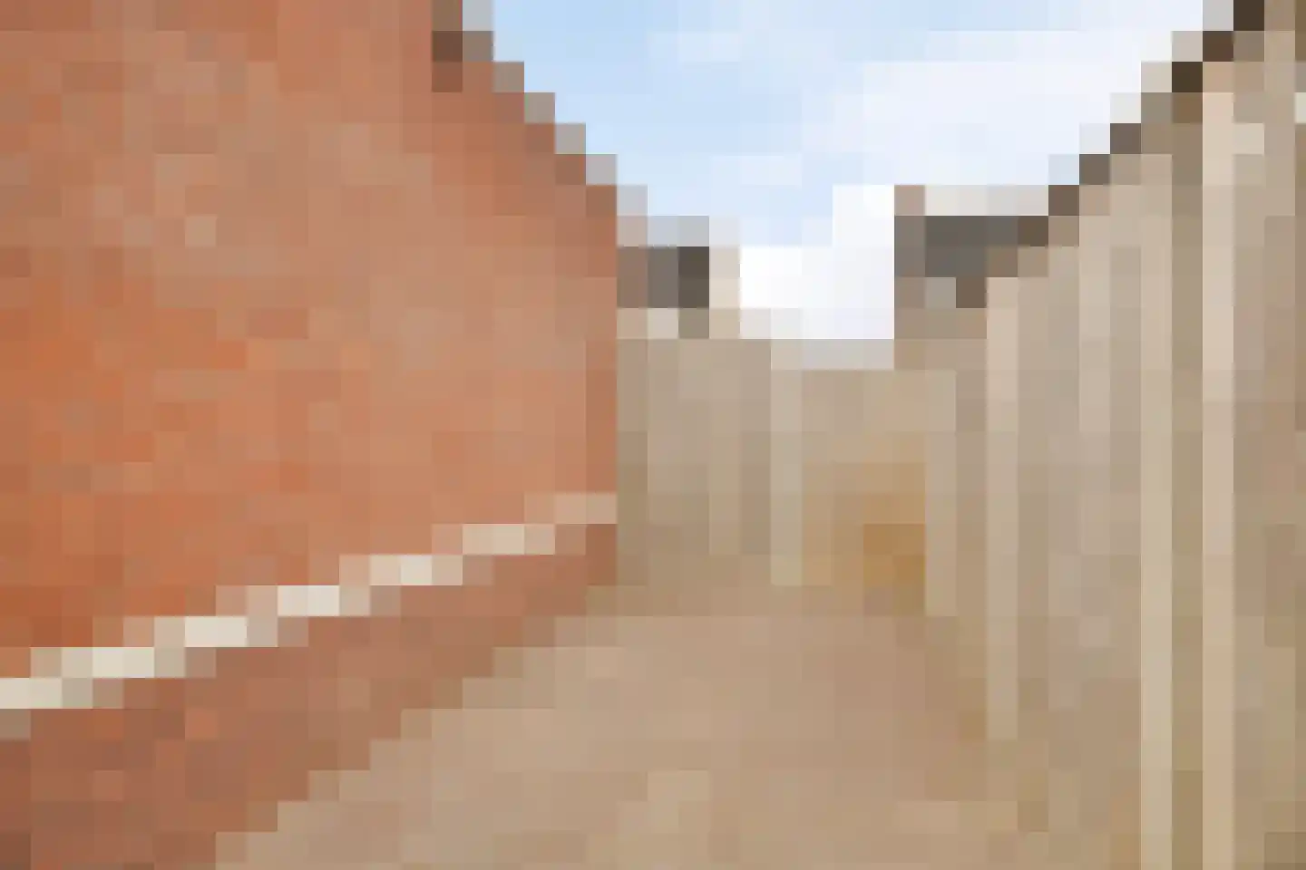 Veldleeuwerik 10 Maren-Kessel thumbnail 37