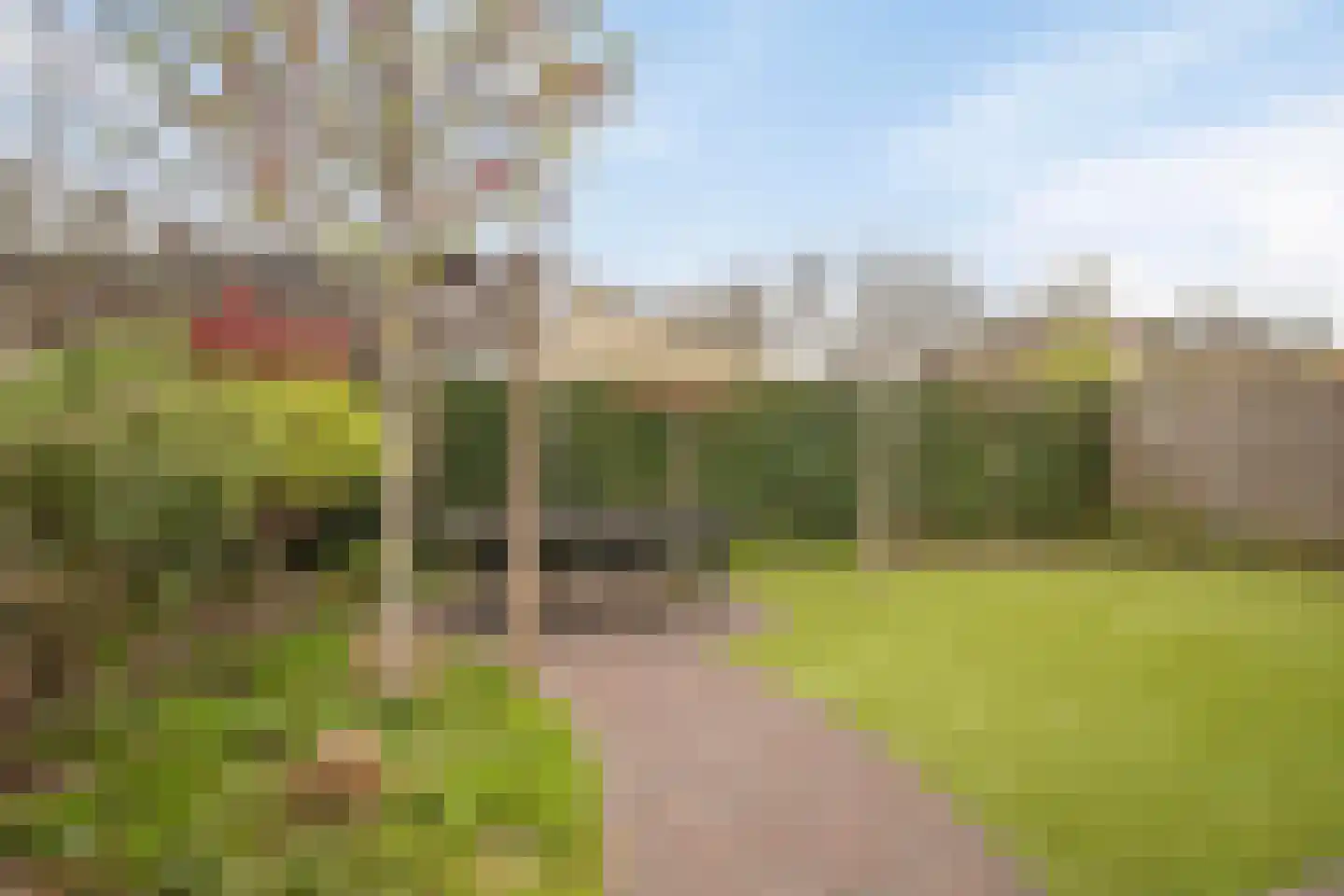 Veldleeuwerik 10 Maren-Kessel thumbnail 38