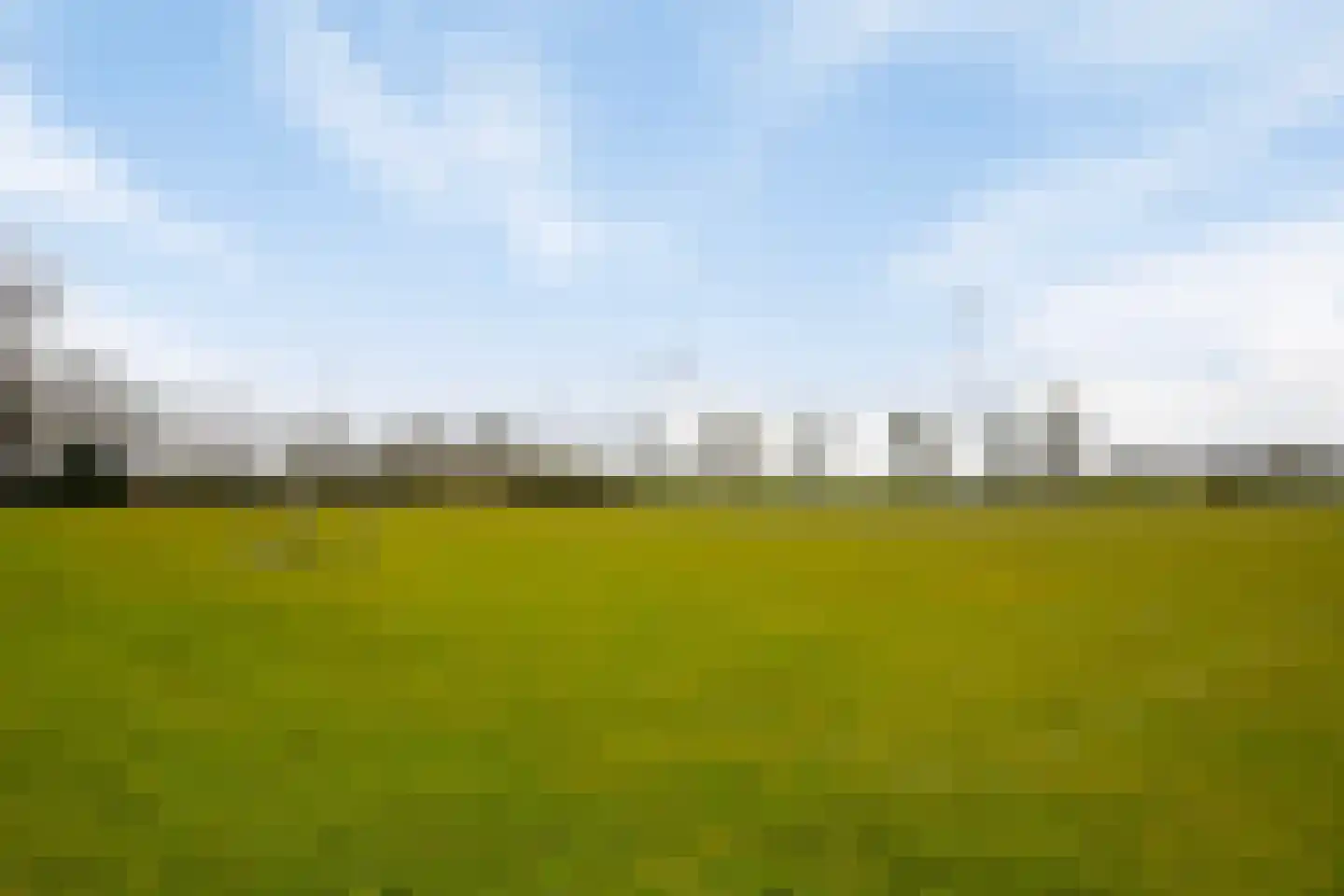 Veldleeuwerik 10 Maren-Kessel thumbnail 47