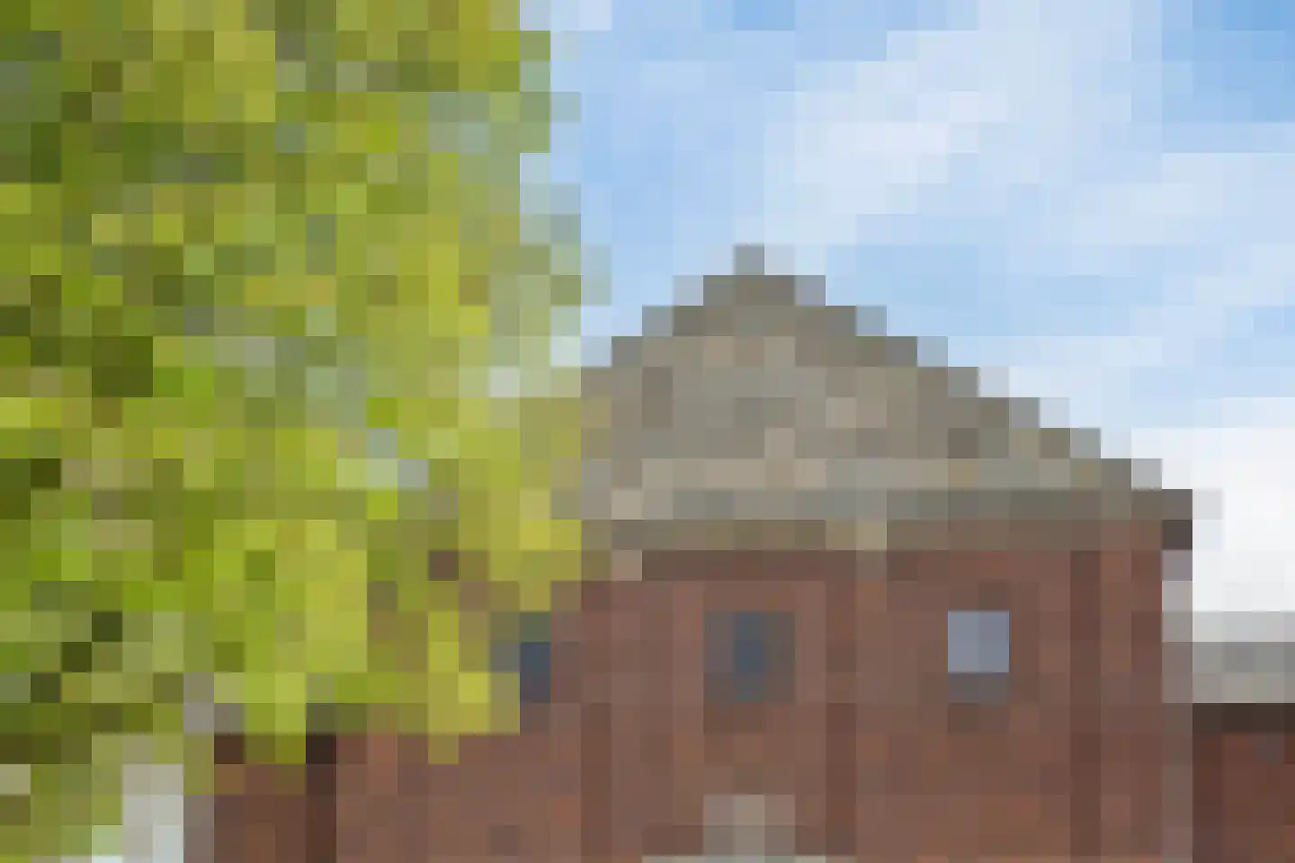 Veldleeuwerik 10 Maren-Kessel thumbnail 50