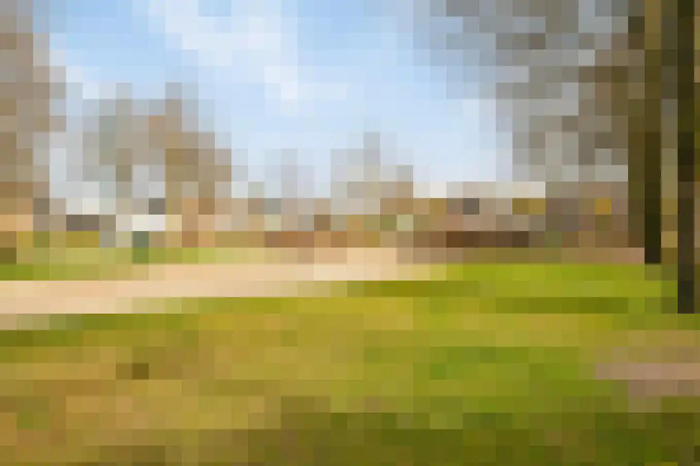 Veldleeuwerik 10 Maren-Kessel thumbnail 51