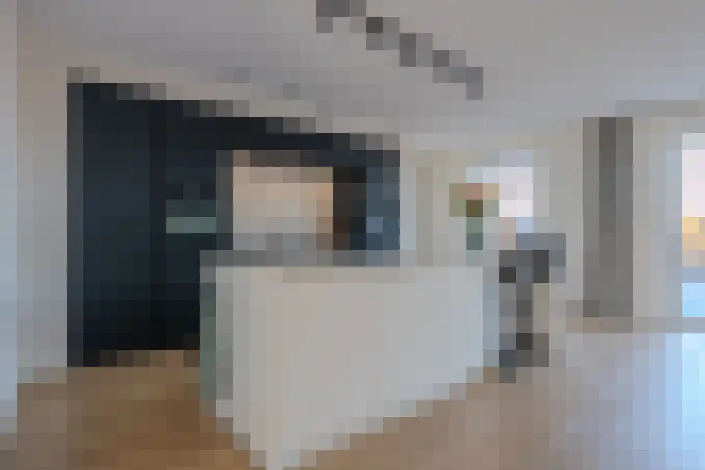 Veldleeuwerik 17 Venray thumbnail 17