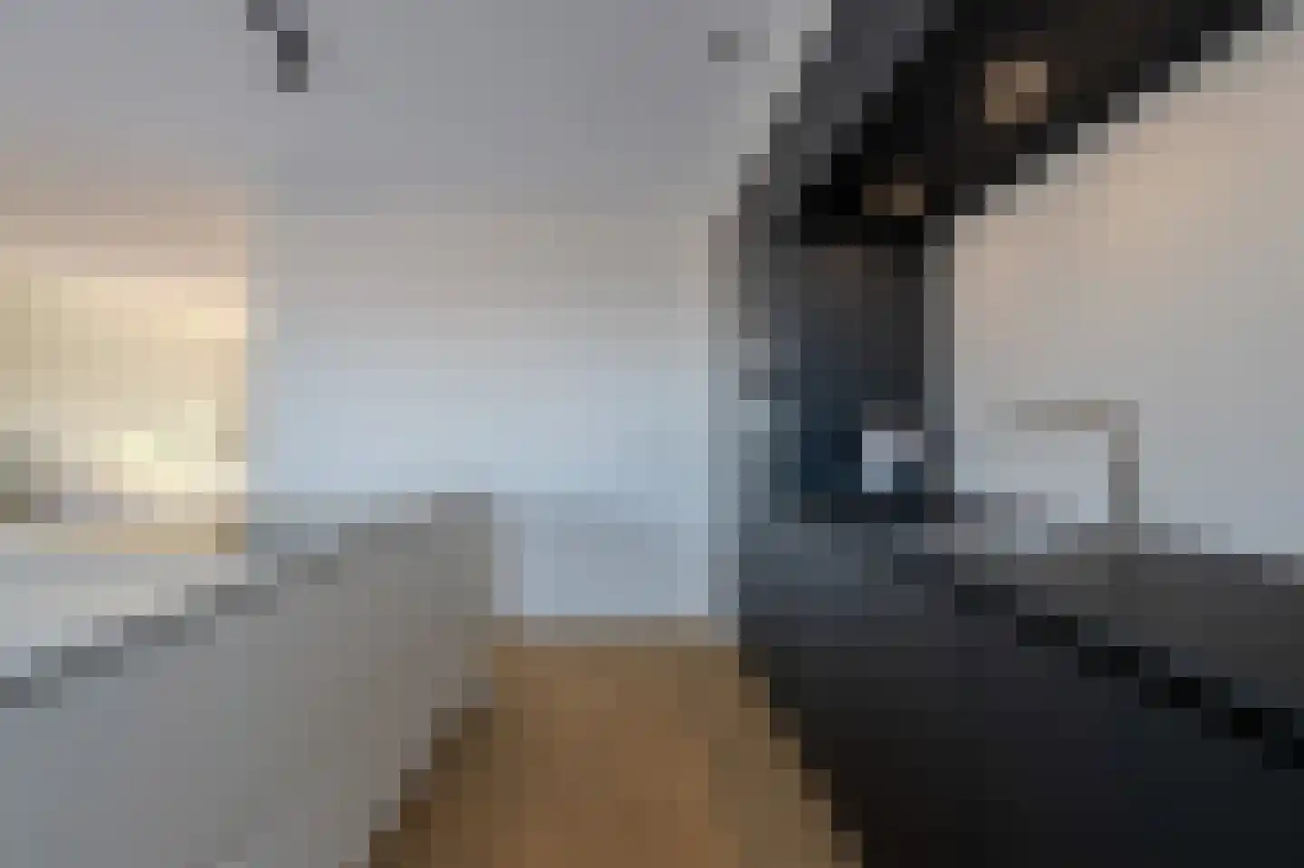 Veldleeuwerik 17 Venray thumbnail 25
