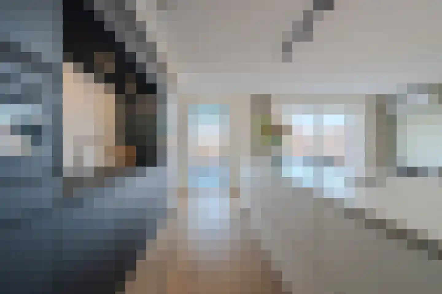 Veldleeuwerik 17 Venray thumbnail 26