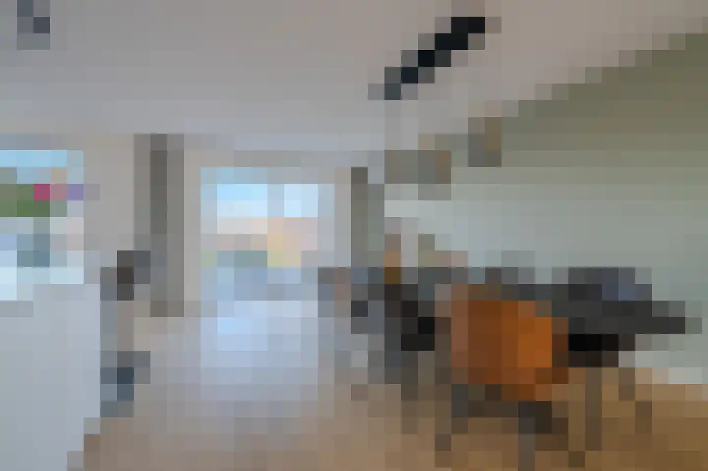 Veldleeuwerik 17 Venray thumbnail 30