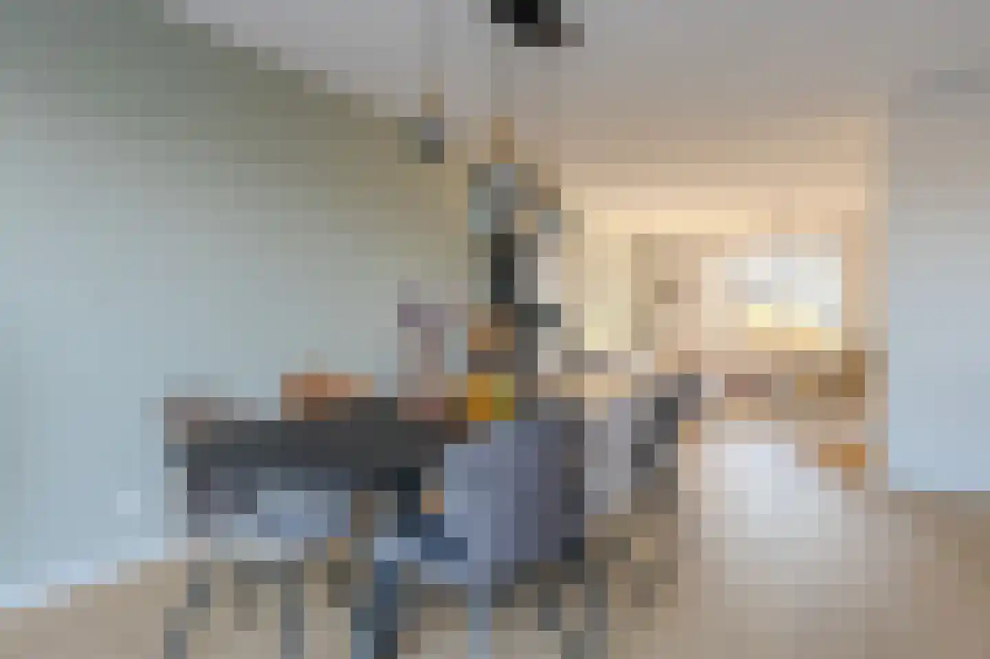 Veldleeuwerik 17 Venray thumbnail 33