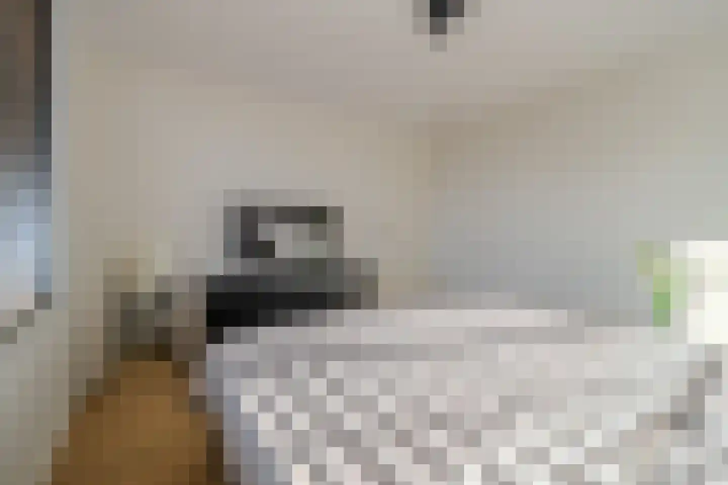 Veldleeuwerik 17 Venray thumbnail 39