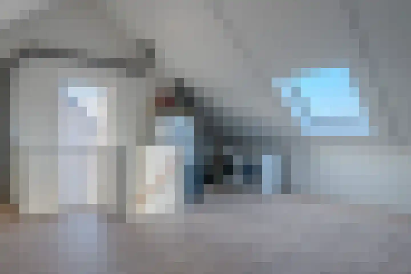 Veldleeuwerik 17 Venray thumbnail 50