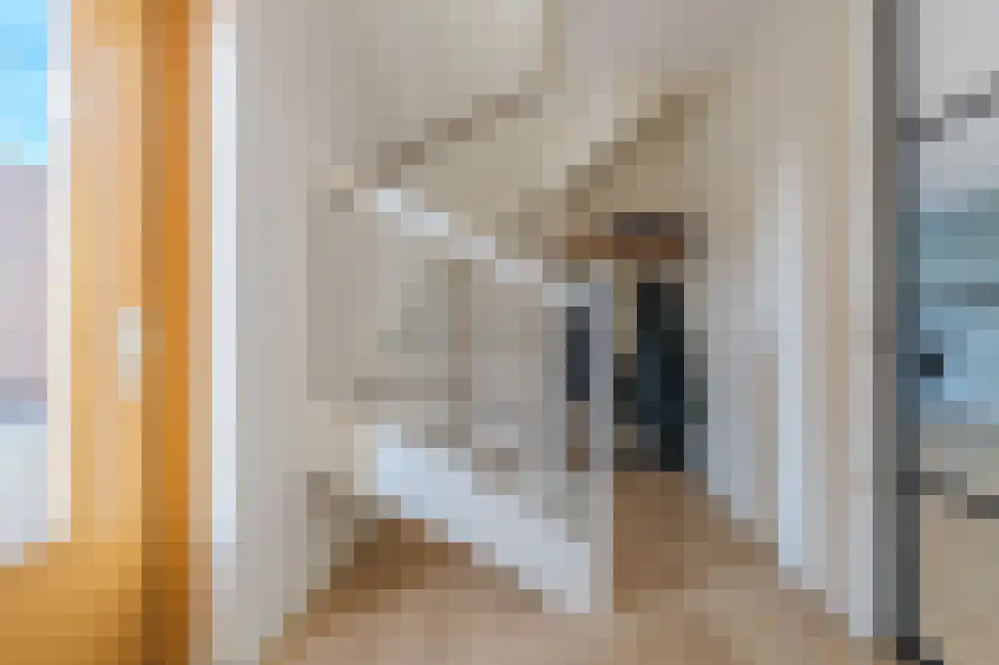 Veldleeuwerik 17 Venray thumbnail 6