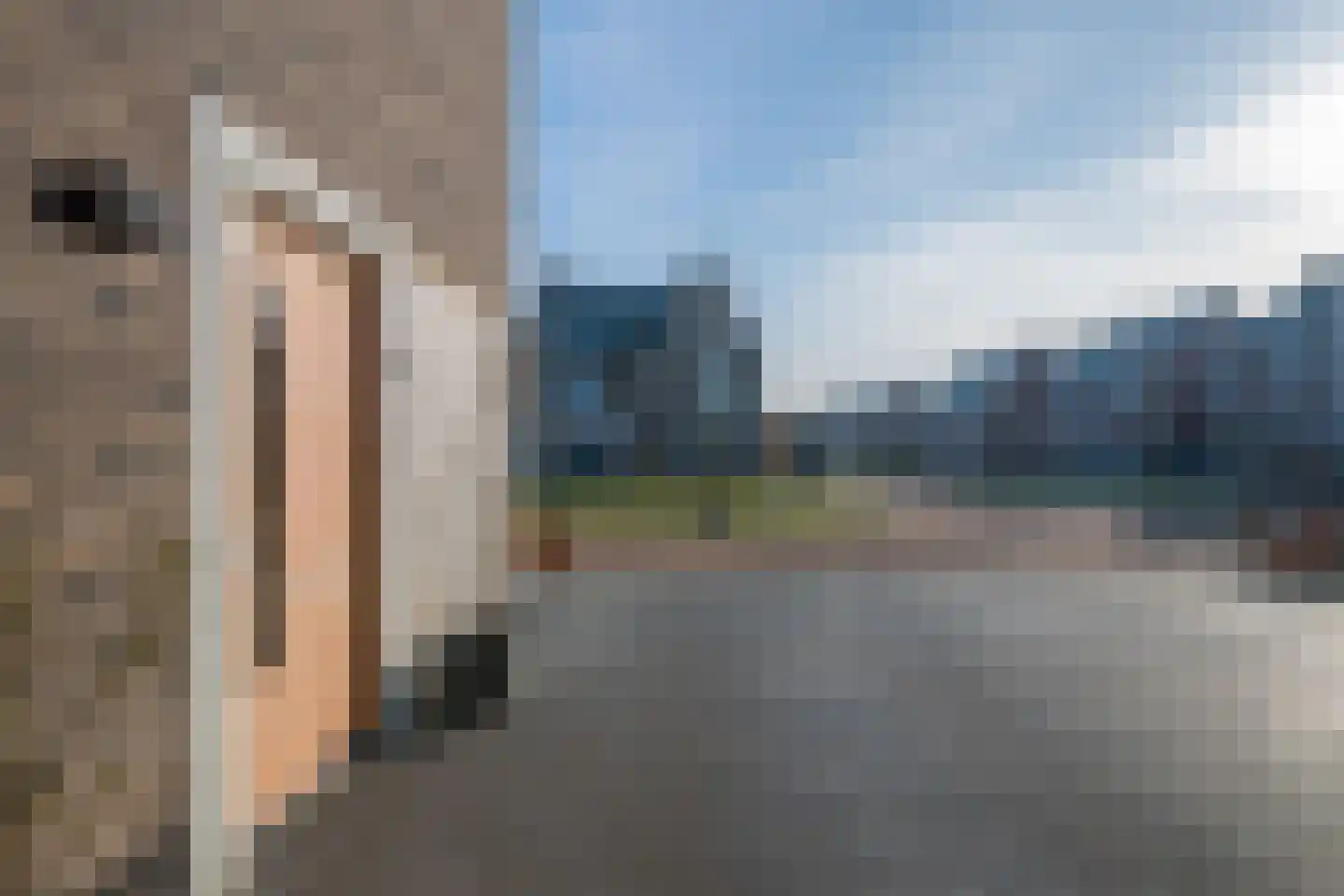 Veldleeuwerik 17 Venray thumbnail 65
