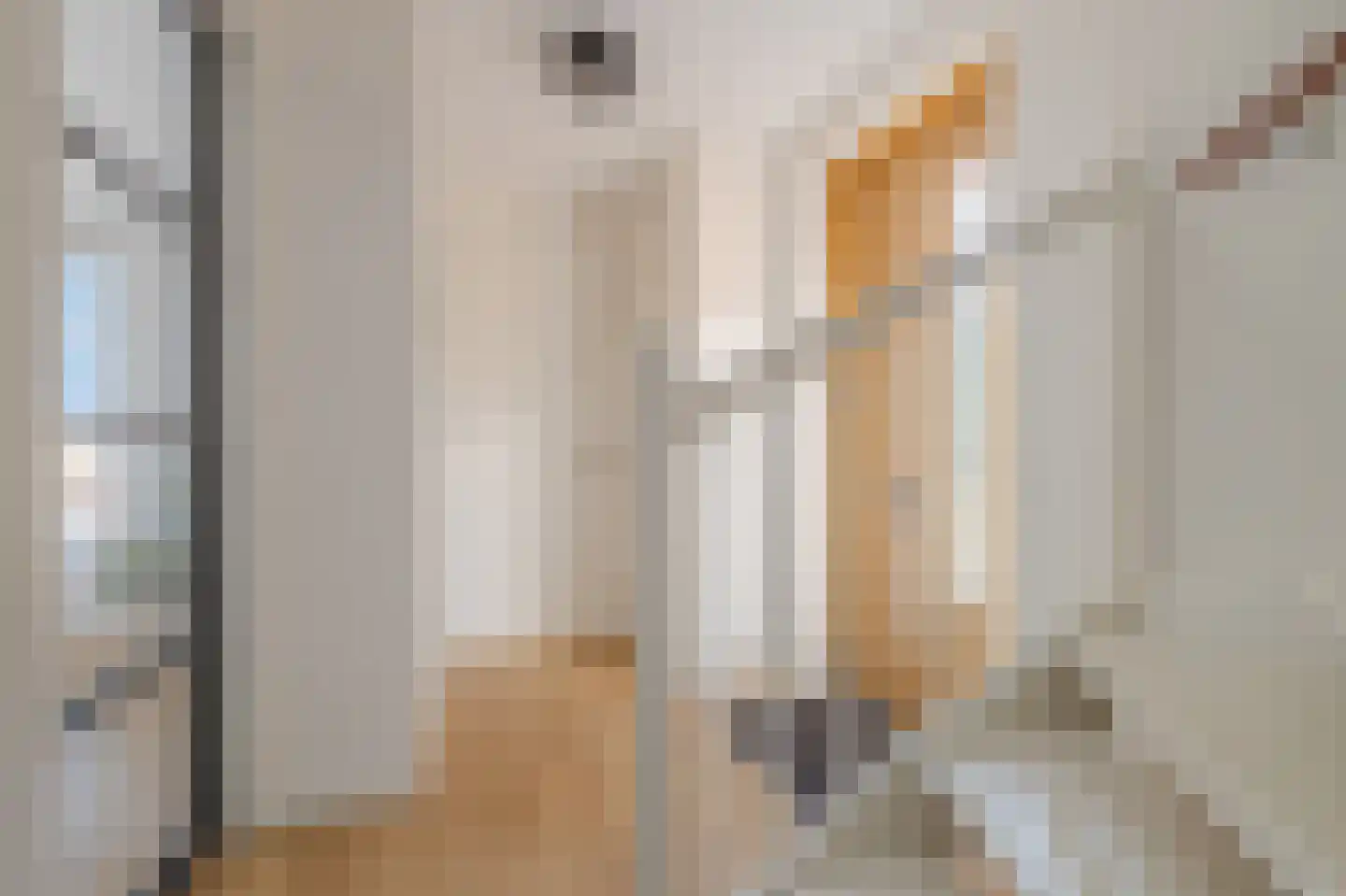 Veldleeuwerik 17 Venray thumbnail 7