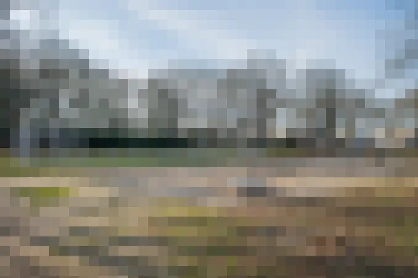 Veldleeuwerik 17 Venray thumbnail 70