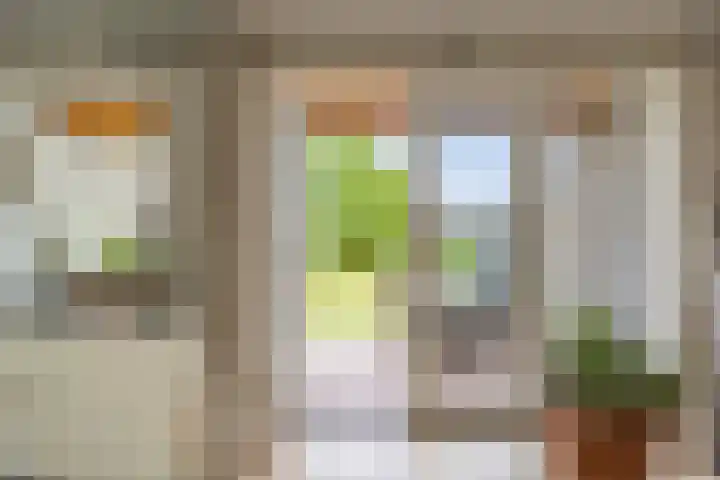 Veldleeuwerik 21 Venray thumbnail 15