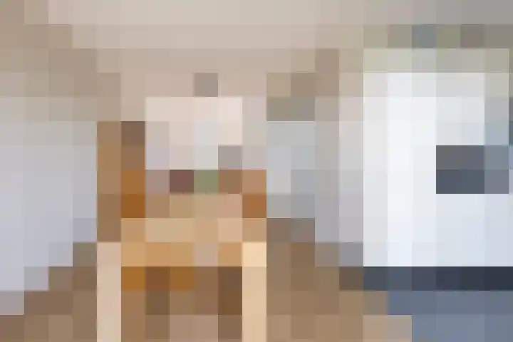 Veldleeuwerik 21 Venray thumbnail 16