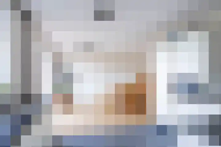 Veldleeuwerik 21 Venray thumbnail 17