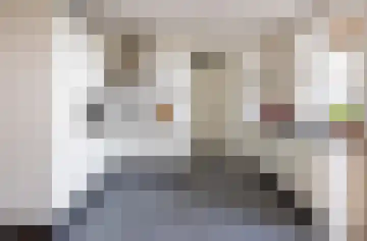 Veldleeuwerik 21 Venray thumbnail 18