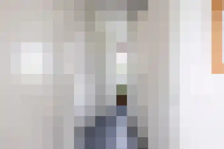 Veldleeuwerik 21 Venray thumbnail 20