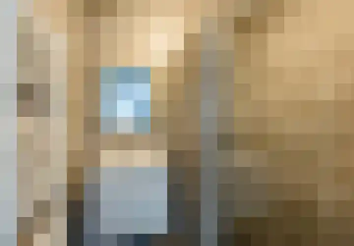 Veldleeuwerik 21 Venray thumbnail 21