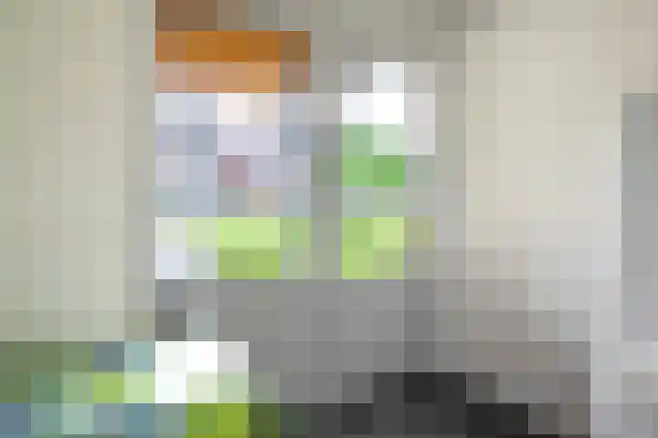 Veldleeuwerik 21 Venray thumbnail 24