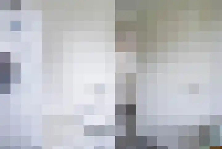 Veldleeuwerik 21 Venray thumbnail 25