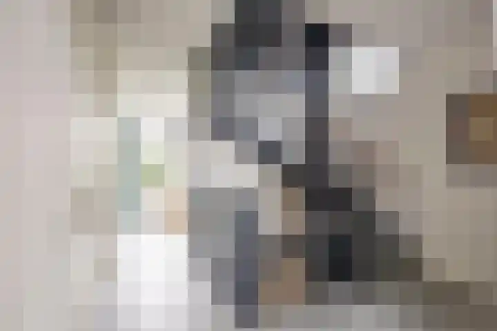 Veldleeuwerik 21 Venray thumbnail 26