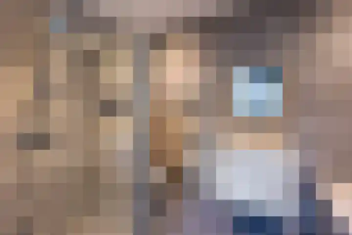 Veldleeuwerik 21 Venray thumbnail 31