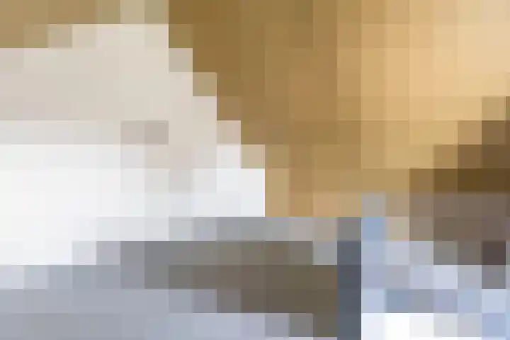 Veldleeuwerik 21 Venray thumbnail 33